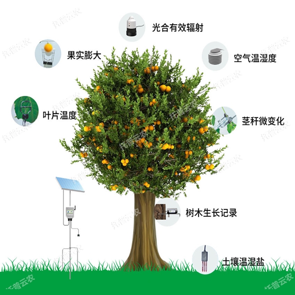 植物生理生態(tài)及環(huán)境監(jiān)測系統(tǒng)