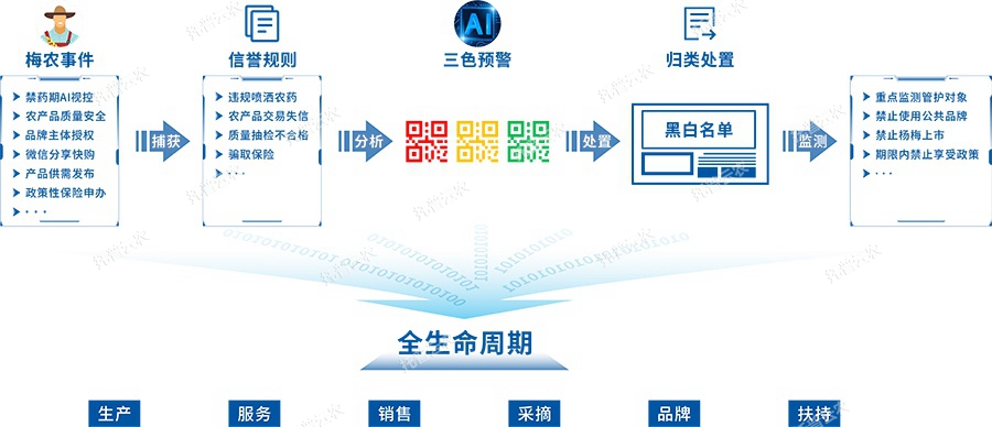 數(shù)據(jù)分析